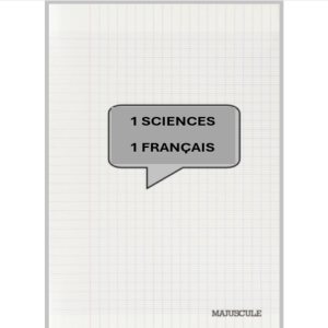 Cahier 192 pages, grand format, seyès (comprar 2)